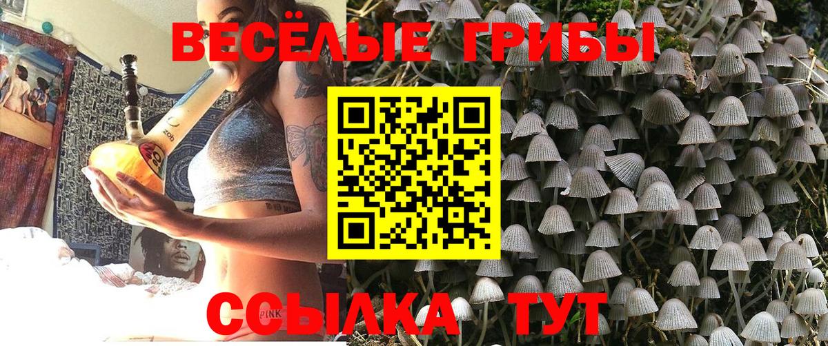 Вольск  Галлюциногенные грибы GOLDEN TEACHER  где продают   Вход с VPN 