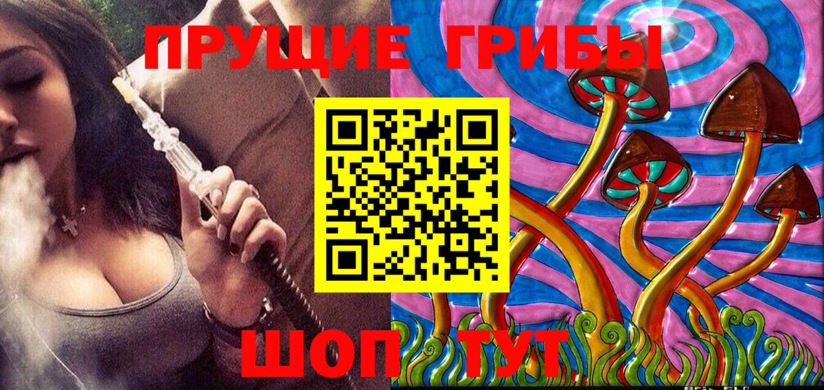 Псилоцибиновые грибы Psilocybine cubensis Вольск